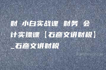 财稅小白实战课 财务 会计实操课【石彦文讲财税】_石彦文讲财税-51自学联盟