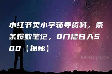 小红书卖小学辅导资料，条条爆款笔记，0门槛日入500【揭秘】-51自学联盟