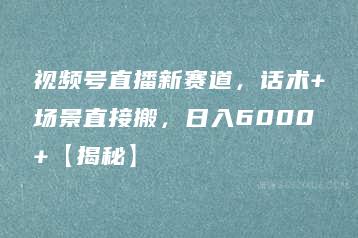 视频号直播新赛道，话术+场景直接搬，日入6000+【揭秘】-51自学联盟