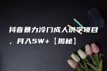 抖音暴力冷门成人识字项目，月入5W+【揭秘】-51自学联盟