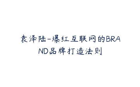 袁泽陆-爆红互联网的BRAND品牌打造法则百度网盘下载