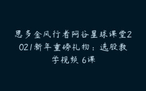 思多金风行者阿谷星球课堂2021新年重磅礼物：选股教学视频 6课-51自学联盟