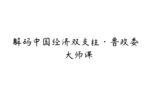 解码中国经济双支柱·鲁政委  大师课-51自学联盟