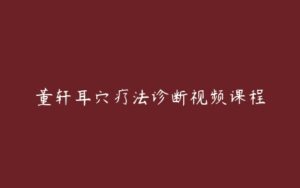 董轩耳穴疗法诊断视频课程-51自学联盟