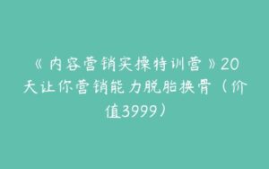 《内容营销实操特训营》20天让你营销能力脱胎换骨（价值3999）-51自学联盟