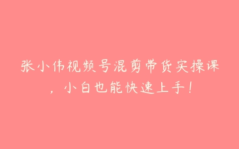 张小伟视频号混剪带货实操课，小白也能快速上手！课程资源下载