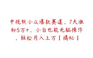 中视频小众爆款赛道，7天涨粉5万+，小白也能无脑操作，轻松月入上万【揭秘】-51自学联盟