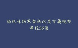 杨兆林伤寒杂病论类方篇视频课程59集-51自学联盟
