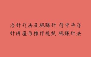 浮针疗法及腕踝针 符中华浮针讲座与操作视频 腕踝针法-51自学联盟