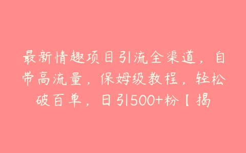 最新情趣项目引流全渠道，自带高流量，保姆级教程，轻松破百单，日引500+粉【揭秘】-51自学联盟