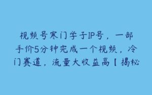 视频号寒门学子IP号，一部手价5分钟完成一个视频，冷门赛道，流量大收益高【揭秘】-51自学联盟