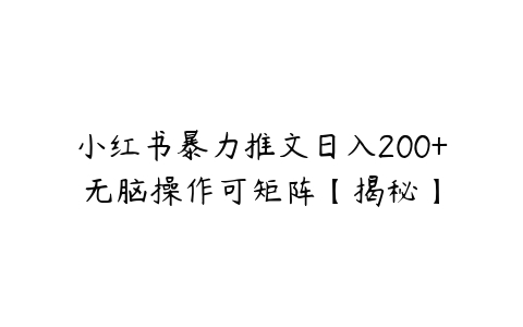 小红书暴力推文日入200+无脑操作可矩阵【揭秘】-51自学联盟