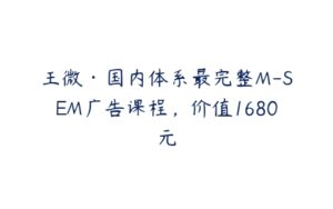 王微·国内体系最完整M-SEM广告课程，价值1680元-51自学联盟
