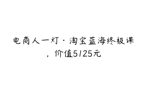 电商人一灯·淘宝蓝海终极课，价值5125元-51自学联盟