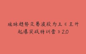 瑶妹趋势交易波段为王《主升起爆实战特训营》2.0-51自学联盟