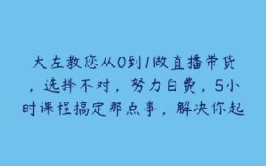 大左教您从0到1做直播带货，选择不对，努力白费，5小时课程搞定那点事，解决你起号问题-51自学联盟