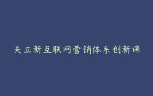 关立新互联网营销体系创新课-51自学联盟