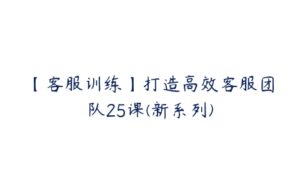 【客服训练】打造高效客服团队25课(新系列)-51自学联盟