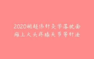 2020胡超伟针灸学落枕面瘫上火头疼膝关节等针法-51自学联盟