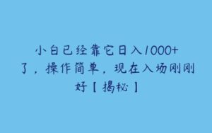 小白已经靠它日入1000+了，操作简单，现在入场刚刚好【揭秘】-51自学联盟