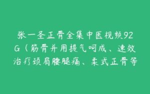 张一圣正骨全集中医视频92G（筋骨并用提气呵成、速效治疗颈肩腰腿痛、柔式正骨等）-51自学联盟