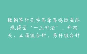 魏朝军针灸学耳聋耳鸣颈肩疼痛,揭密“一三针法”，开四关、止痛组合针、男科组合针（14节）-51自学联盟