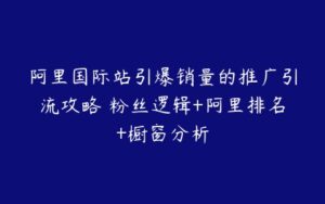 阿里国际站引爆销量的推广引流攻略 粉丝逻辑+阿里排名+橱窗分析-51自学联盟