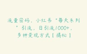 流量密码，小红书“每天系列”引流，日引流1000+，多种变现方式【揭秘】-51自学联盟