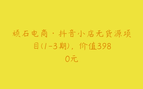 顽石电商·抖音小店无货源项目(1-3期)，价值3980元-51自学联盟