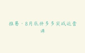 推易·8月底拼多多实战运营课-51自学联盟