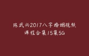 陈武兴2017八字婚姻视频课程合集15集5G-51自学联盟