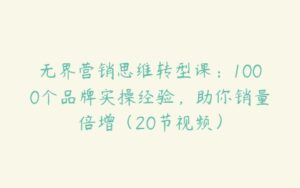 无界营销思维转型课：1000个品牌实操经验，助你销量倍增（20节视频）-51自学联盟