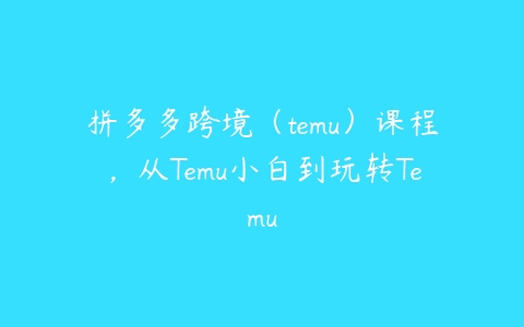 拼多多跨境（temu）课程，从Temu小白到玩转Temu-51自学联盟