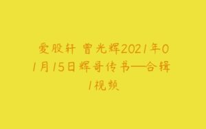 爱股轩 曾光辉2021年01月15日辉哥传书─合辑 1视频-51自学联盟