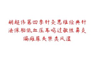 胡超伟第四季针灸思维经典针法保胎低血压耳鸣过敏性鼻炎偏瘫尿失禁类风湿-51自学联盟