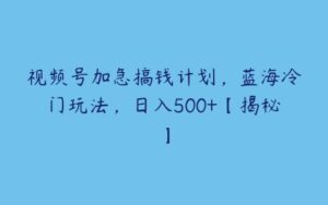 视频号加急搞钱计划，蓝海冷门玩法，日入500+【揭秘】-51自学联盟