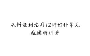 从辩证到治疗12种妇科常见症候特训营-51自学联盟