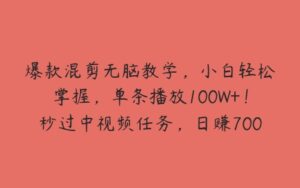 爆款混剪无脑教学，小白轻松掌握，单条播放100W+！秒过中视频任务，日赚700+【揭秘】-51自学联盟