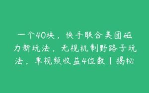 一个40块，快手联合美团磁力新玩法，无视机制野路子玩法，单视频收益4位数【揭秘】-51自学联盟