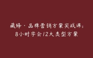 藏锋·品牌营销方案实战课:8小时学会12大类型方案-51自学联盟