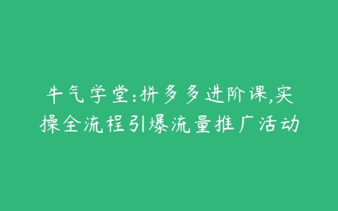 牛气学堂:拼多多进阶课,实操全流程引爆流量推广活动-51自学联盟