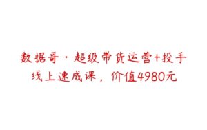 数据哥·超级带货运营+投手线上速成课，价值4980元-51自学联盟