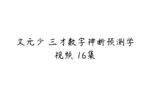 文元少 三才数字神断预测学视频 16集-51自学联盟