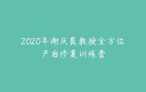 2020年谢庆良教授全方位产后修复训练营-51自学联盟