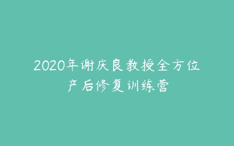2020年谢庆良教授全方位产后修复训练营百度网盘下载