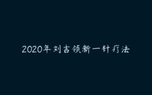 2020年刘吉领新一针疗法-51自学联盟