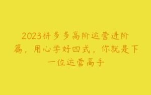 2023拼多多高阶运营进阶篇，用心学好四式，你就是下一位运营高手-51自学联盟