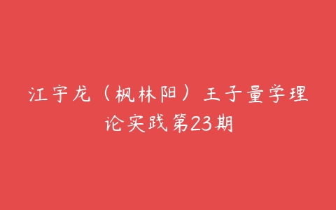 江宇龙（枫林阳）王子量学理论实践第23期-51自学联盟