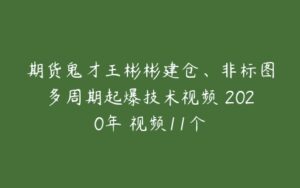 期货鬼才王彬彬建仓、非标图多周期起爆技术视频 2020年 视频11个-51自学联盟