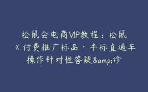 松鼠会电商VIP教程：松鼠《付费推广标品·半标直通车操作针对性答疑&诊断》-51自学联盟